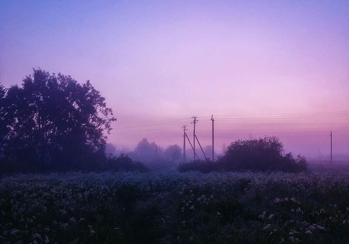 九游娱乐平台:开启极致娱乐的新纪元